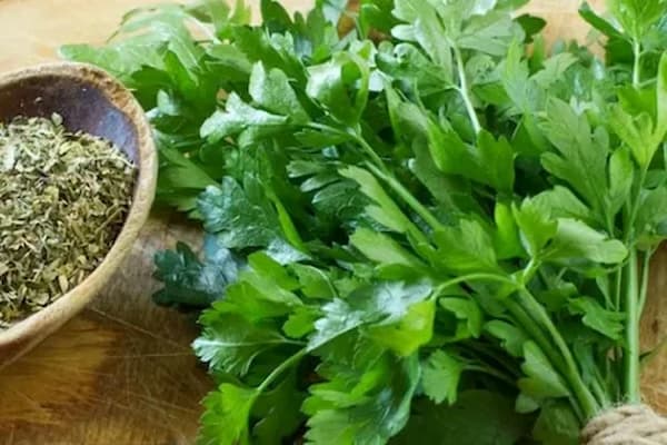 تصویر 3 از فروش سبزی جعفری تازه + قیمت خرید به صرفه